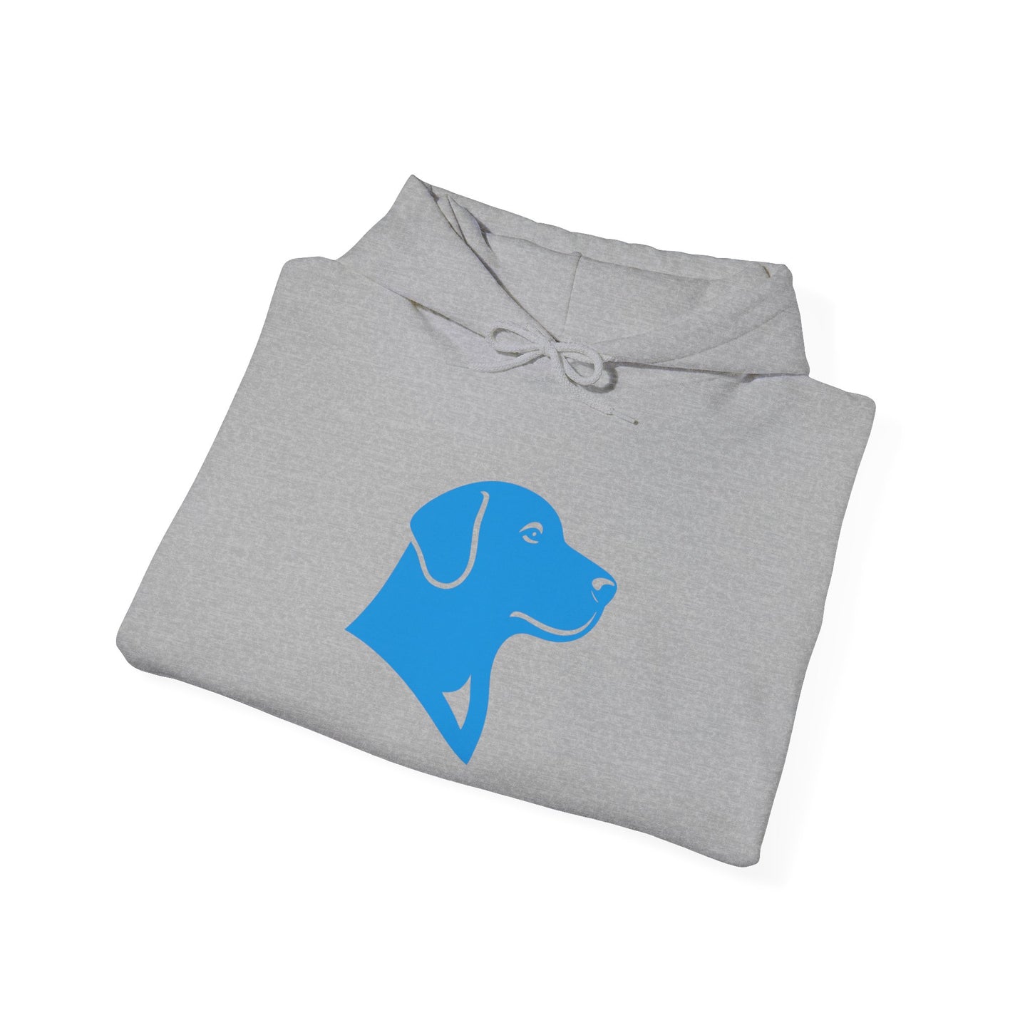BlueMark Logo Hoodie Sweatshirt (Blue Logo)