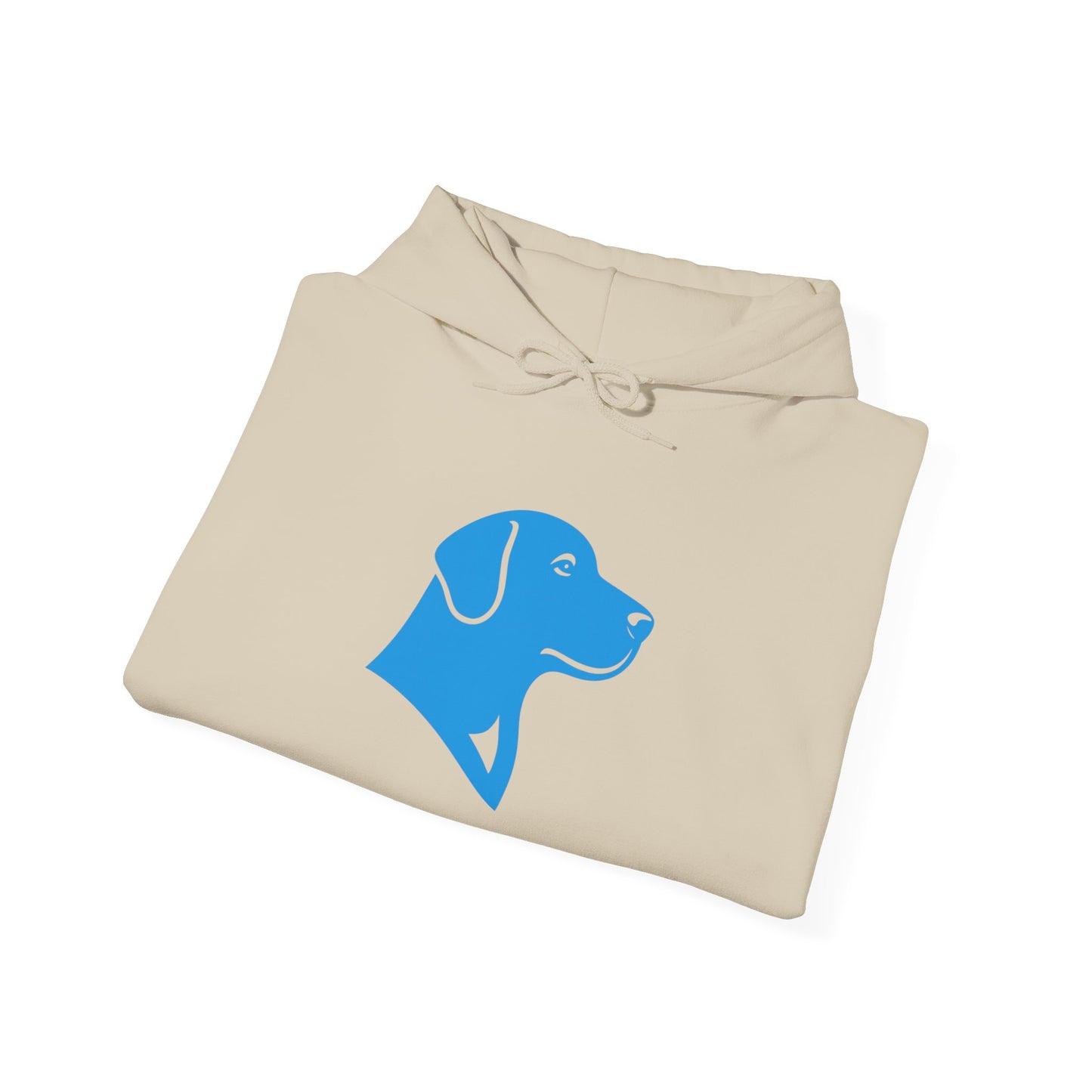 BlueMark Logo Hoodie Sweatshirt (Blue Logo)