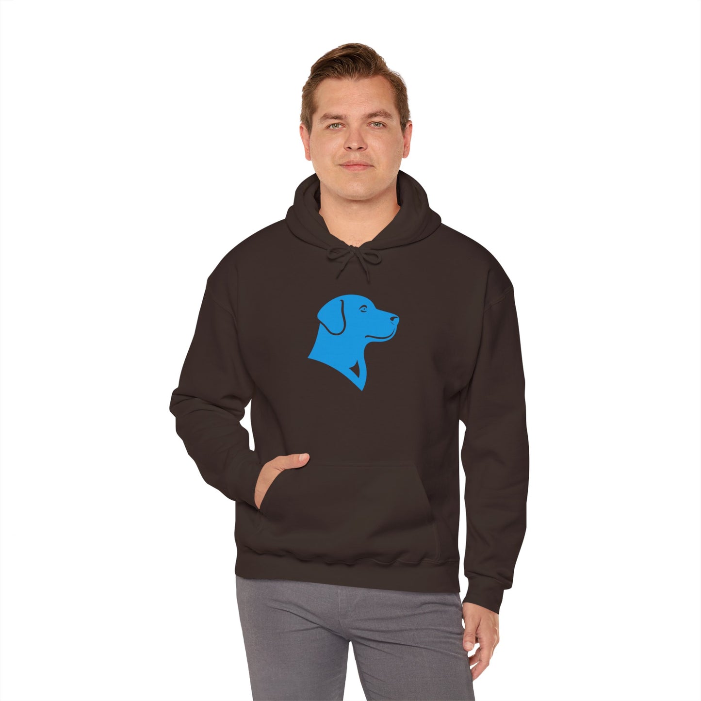 BlueMark Logo Hoodie Sweatshirt (Blue Logo)