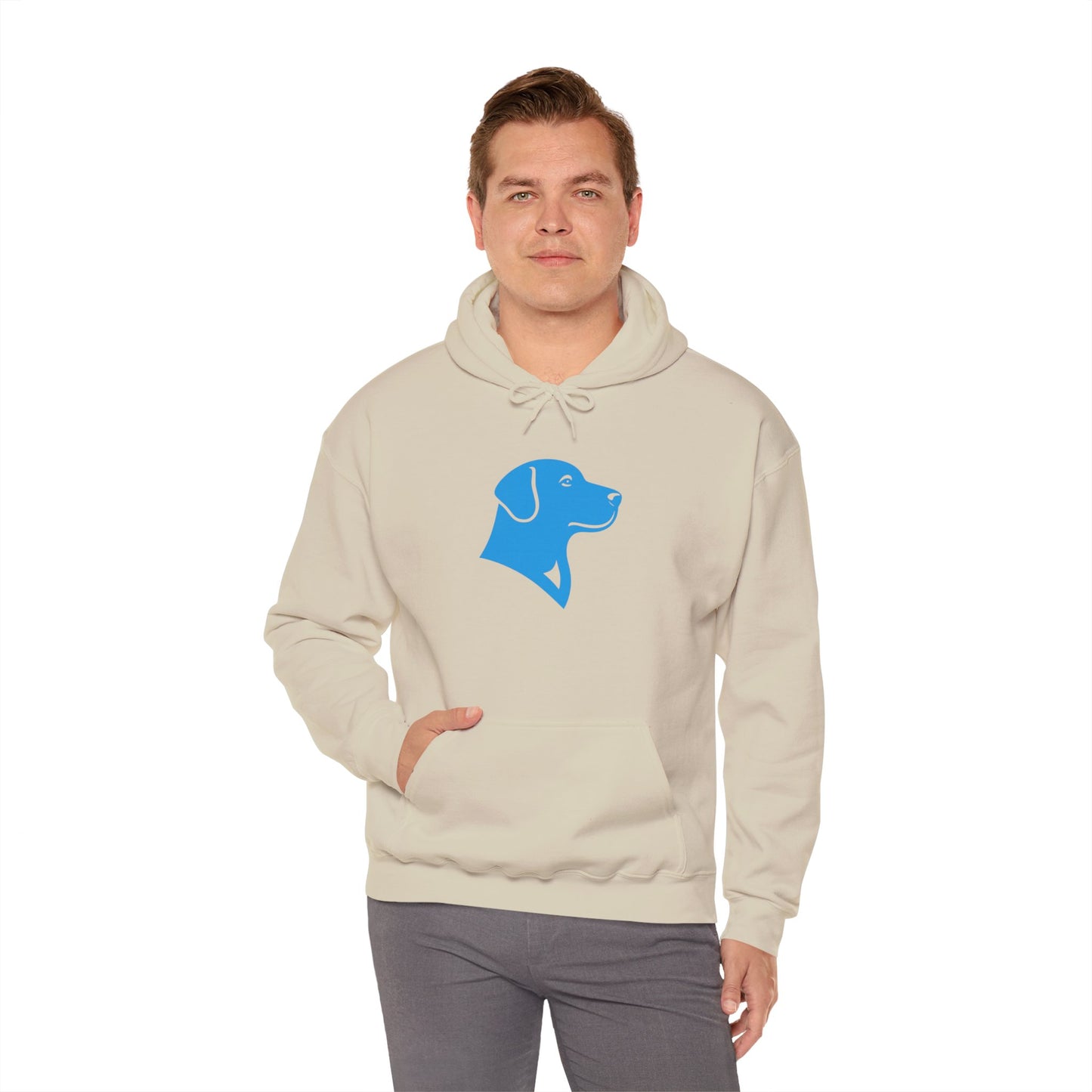 BlueMark Logo Hoodie Sweatshirt (Blue Logo)